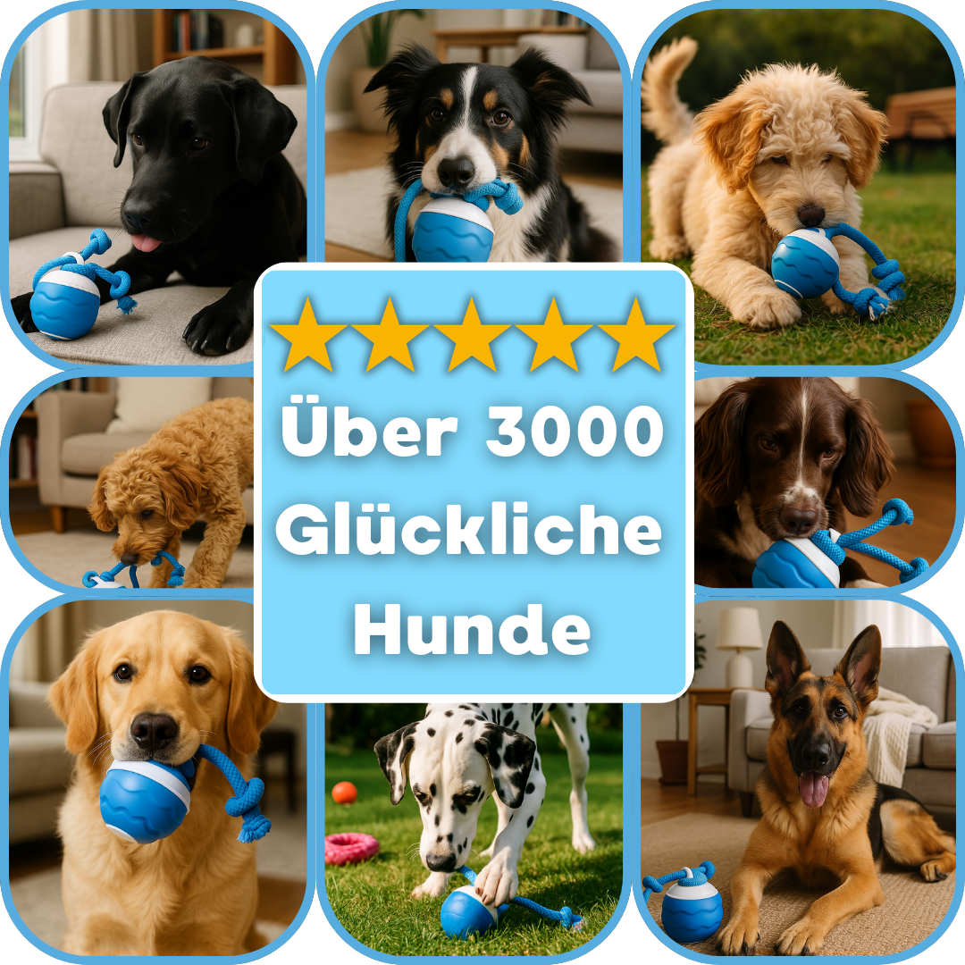 Himbeerball – Interaktives Hundespielzeug
