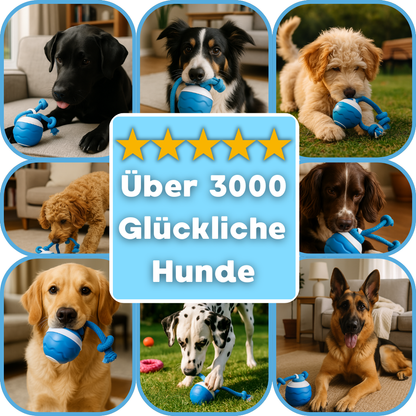 Himbeerball – Interaktives Hundespielzeug